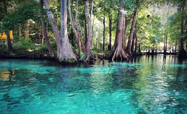 Ginnie Springs