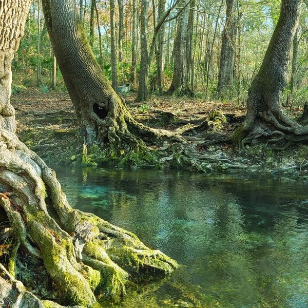 Mermaid Springs at Rum Island