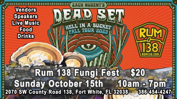 Fungi Festival at Rum 138, mushrooms, mycology, educational, mushroom walks, mushroom merchandise