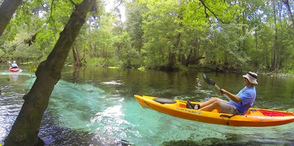 Kayak rental on the Santa Fe River including tours of Blue Springs, Ginnie Springs, Rum Island Sprin