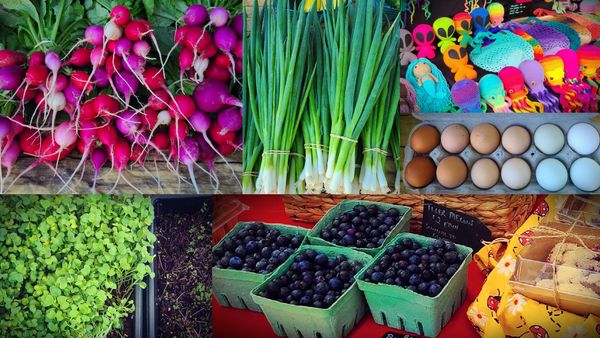 Fresh produce, eggs, baked goods, and crafts at Rum 138 Farmers Market near Gainesville, FL.