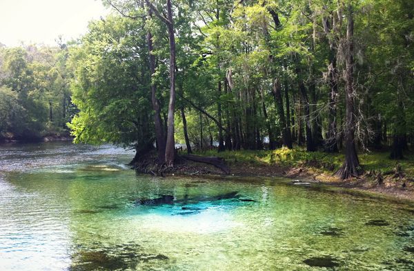 Beautiful blue springs at Rum Island