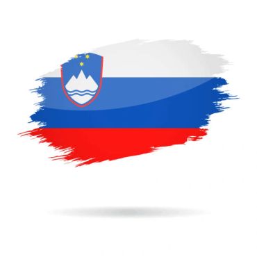 Painted Slovenian flag with coat of arms.