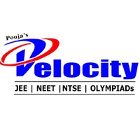 Velocity Institute