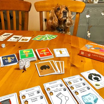 Canine Kleptomaniacs card game on the family tabletop with Amber the dog sitting on a chair.