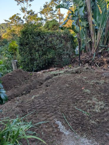 Freshly dug soil with tire tracks near dense tropical plants.