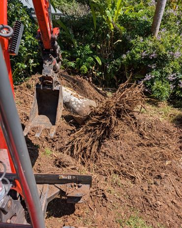 Excavator uprooting a tree stump in a garden clearing.