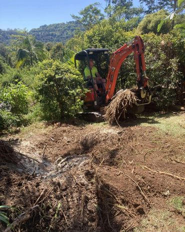 Man operating mini excavator to remove tree roots in a lush garden.