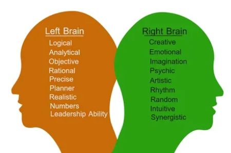 How does our brain really work?