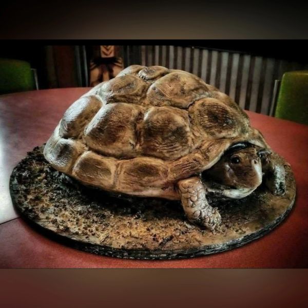 Realistic tortoise-shaped cake on a table.