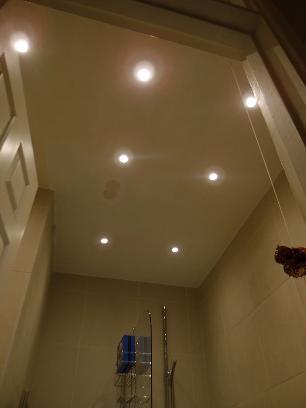 Bathroom downlights by Circitas Ltd electrician