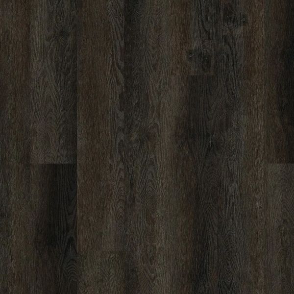 Echelon Choice - Sepia