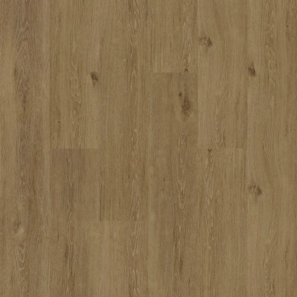 Echelon Choice - Wheat