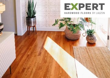 Sunlit hardwood floor with plants and rug.