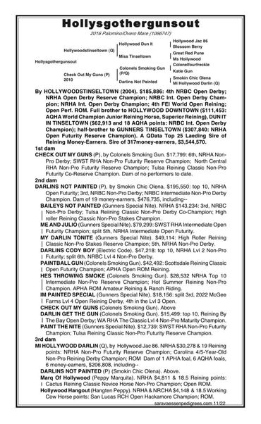 NRHA money earnings, money earner, black type pedigree