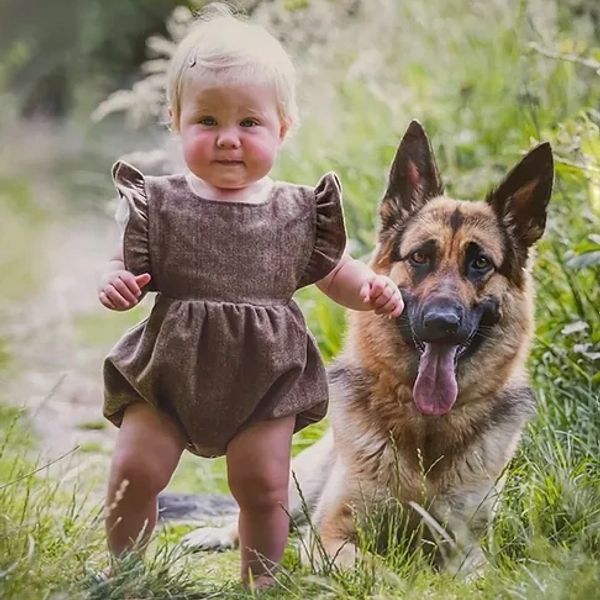 Baby standing next to a happy German Shepherd dog outdoors.