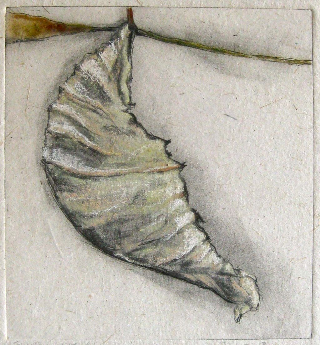 "Field Series - Winter's Leaf"
Drypoint /pastel, handmade paper
25" x 20.5" wood, shadowbox frame