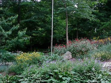 native garden design, butterfly garden, landscape designer newtown connecticut