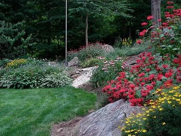 native garden design, butterfly garden, landscape designer newtown connecticut