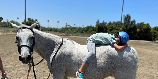 Hegewisch stables offers pony rides