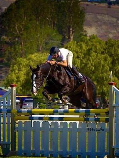 A boy sitting on the black horse and jumping