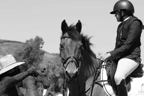 A girl sitting on the horse enrolled in full training and boarding at Hegewisch Stables