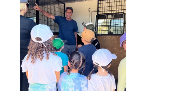horseback riding summer camp in san diego kids learning about horsemanship