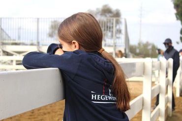 Girl on a background looking Horse competition
