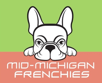 Mid Michigan Frenchies