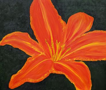 Opening Up by Catherine Sweet