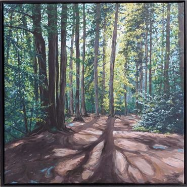 Breaking Light by Judy Century