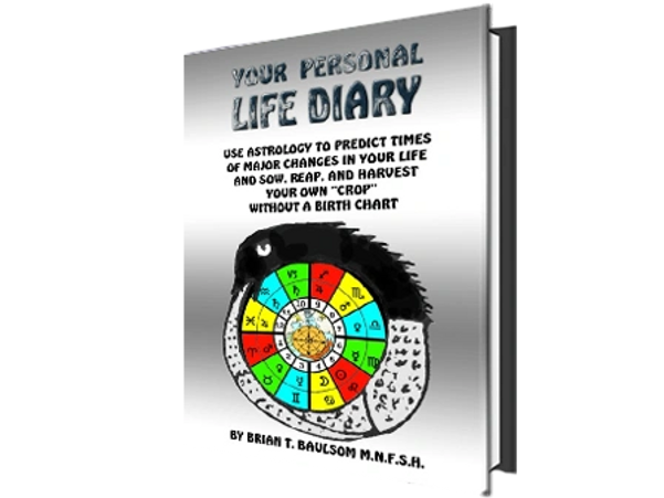 Your personal Life Diary by Brian Baulsom