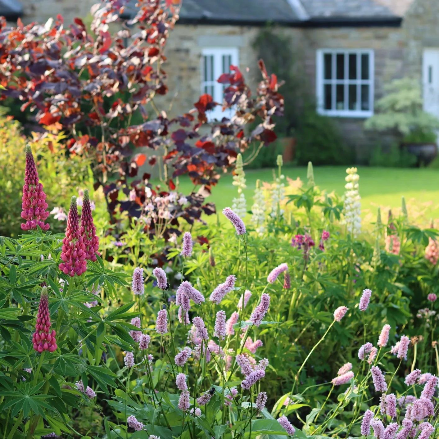 Cottage garden