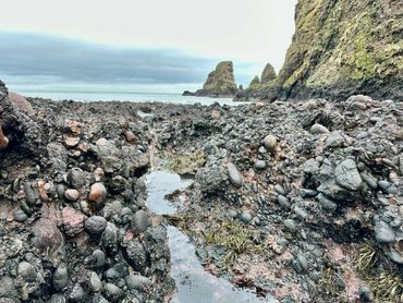 Rocky shoreline with tidal pools and distant cliffs under a cloudy sky.