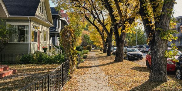 Autumn sidewalk lined with trees and houses.