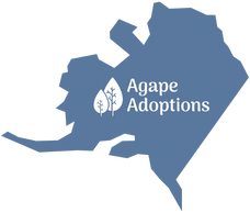 Agepe Adoptions provides home studies for families in Alaska
