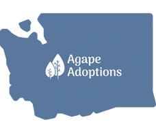 home studies in Washington - Agape Adoptions