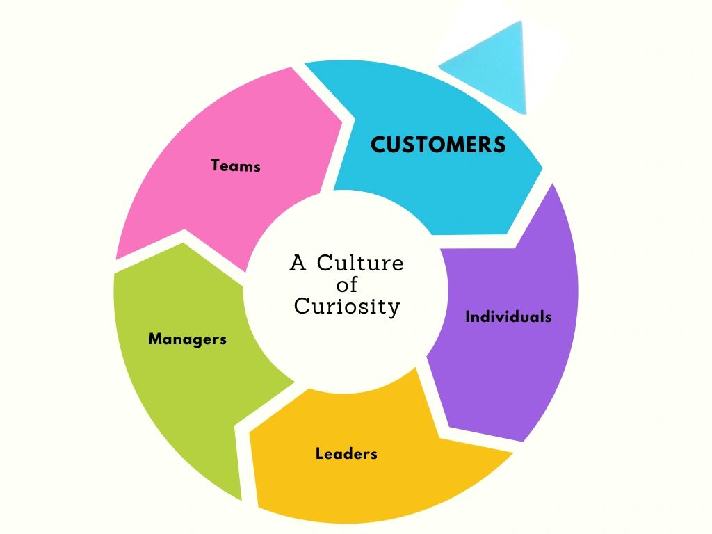 Colorful pie chart illustrating a culture of curiosity among customers, individuals, leaders, managers, and teams.