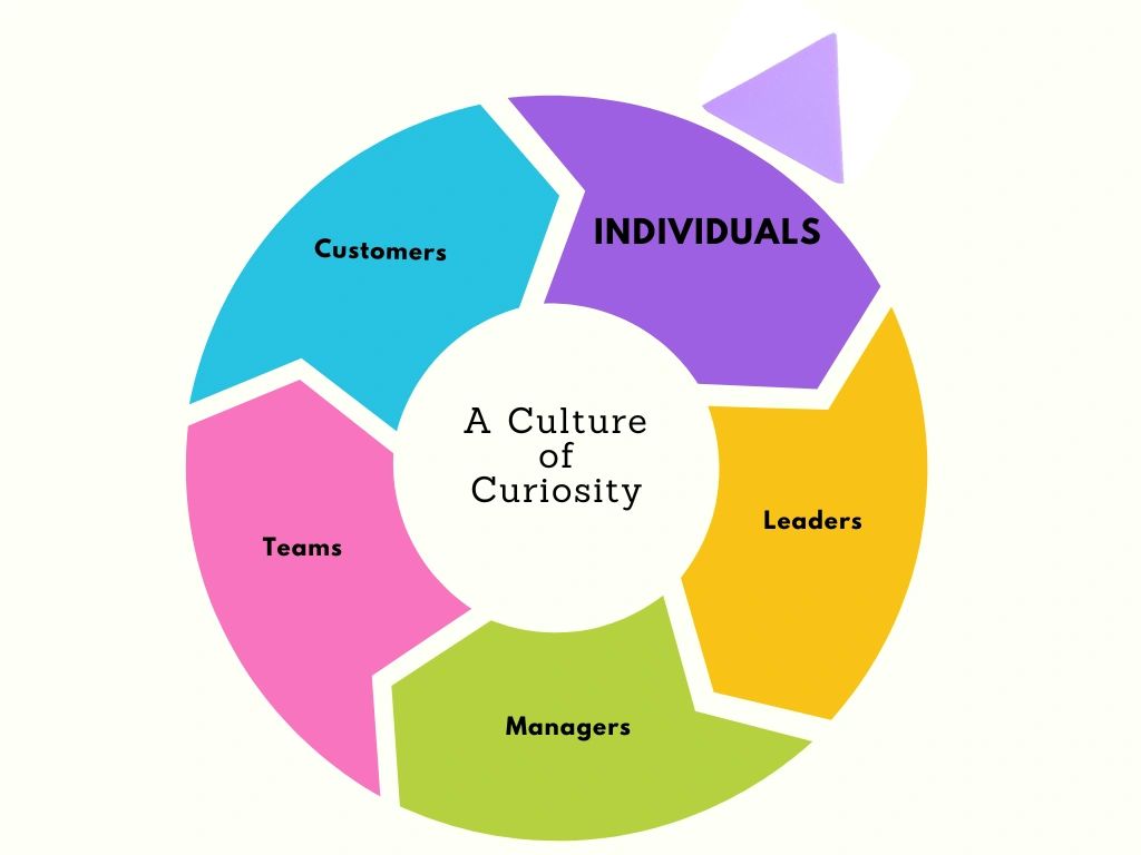 Circular diagram showing a culture of curiosity among individuals, leaders, managers, teams, and customers.