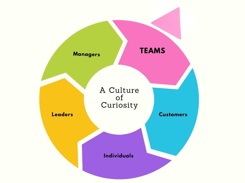Colorful circular diagram showing elements of a culture of curiosity: teams, customers, individuals, leaders, managers.