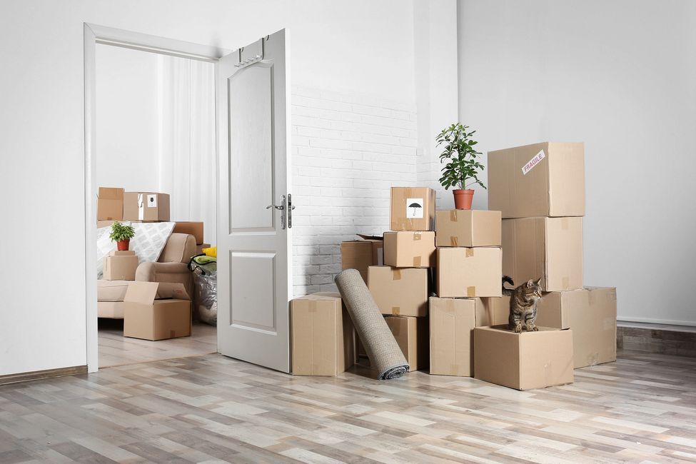 <img src="boxes.png" alt="Boxes in new home after moving">