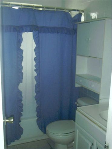 Bathroom blue shower curtain toilet.