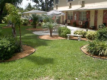 Courtyard with lawn and planters.