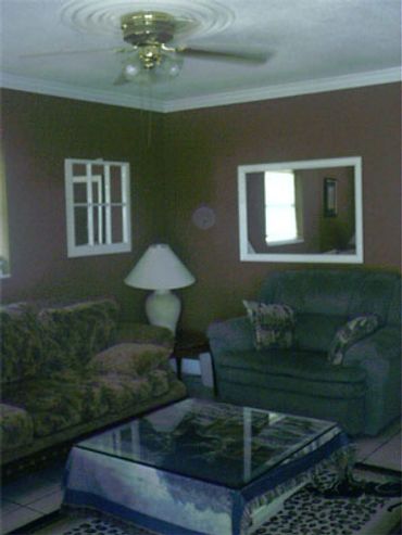 Dark living room sofa ceiling fan.