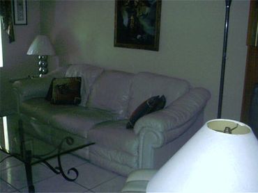 Living room sofa lamp mirror.