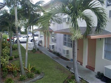 Apartment exterior palm trees lawn.