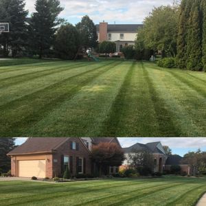 Meticulous lines on green fertilized lawn
