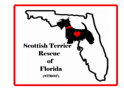 Scottish Terrier Rescue of Florida