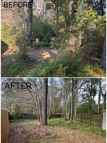 Property with dense brush and small trees before and after brush and debris removal services rendere