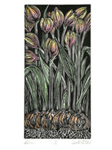 Artist Prints Minnesota Bloom